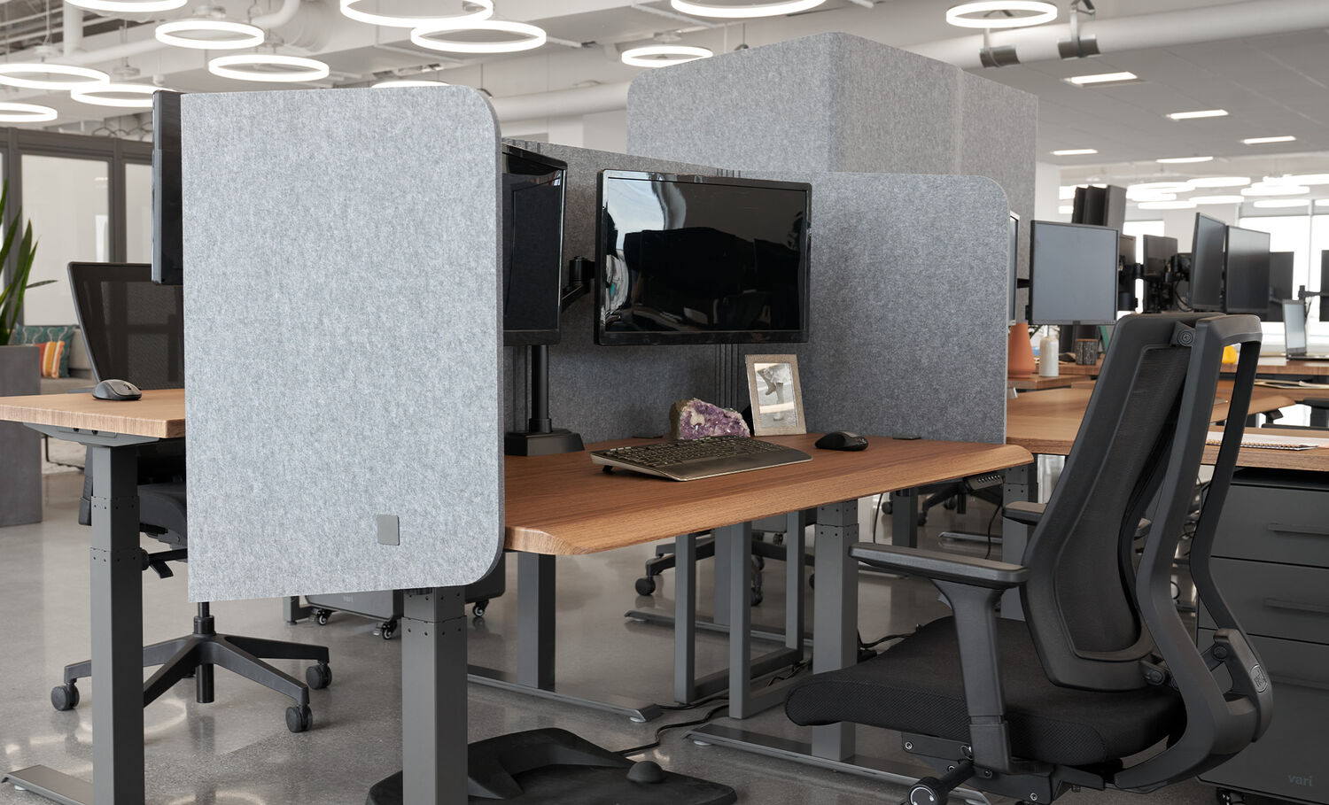 standing desk with a tall privacy desk surround in a collaborative workspace