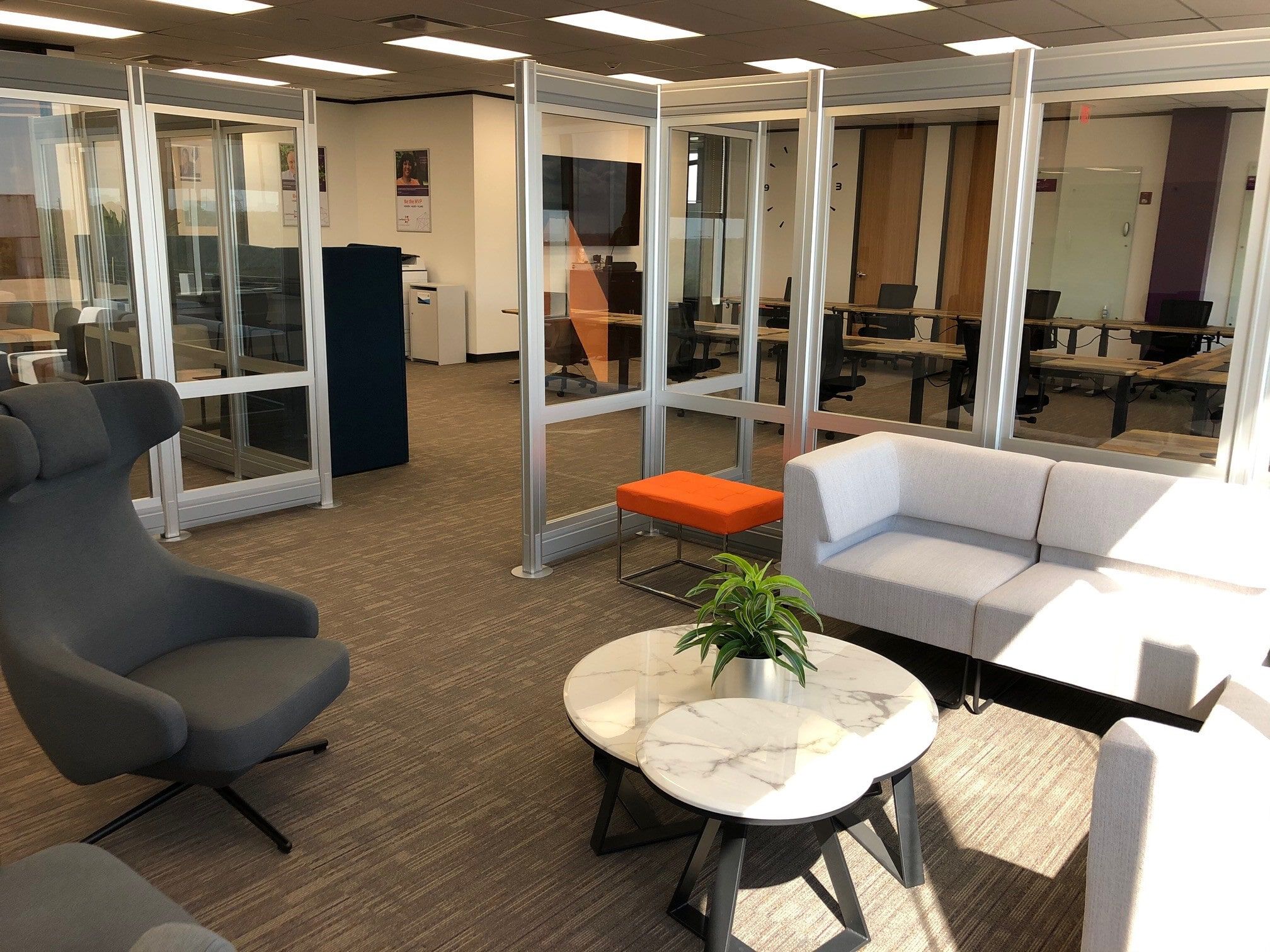 Couches and Vari lounge seating in the office  image