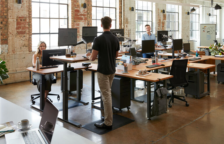Professional creatives work in open office - they each have one traditional montior and one laptop and are able to look at both at eye-level due to the Monitor Scrren + Laptop Stand