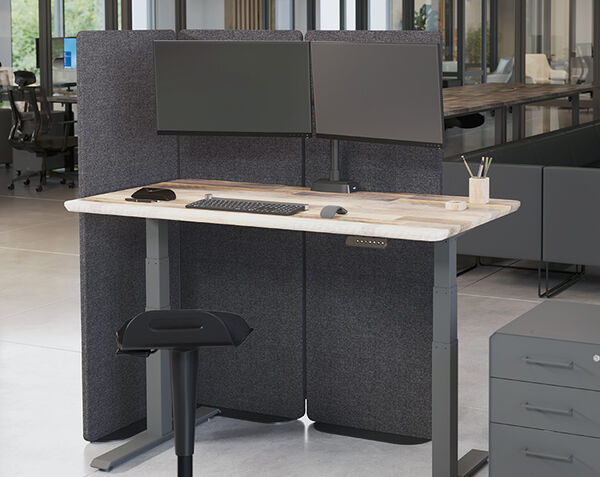 privacy screen setup around the electric standing desk