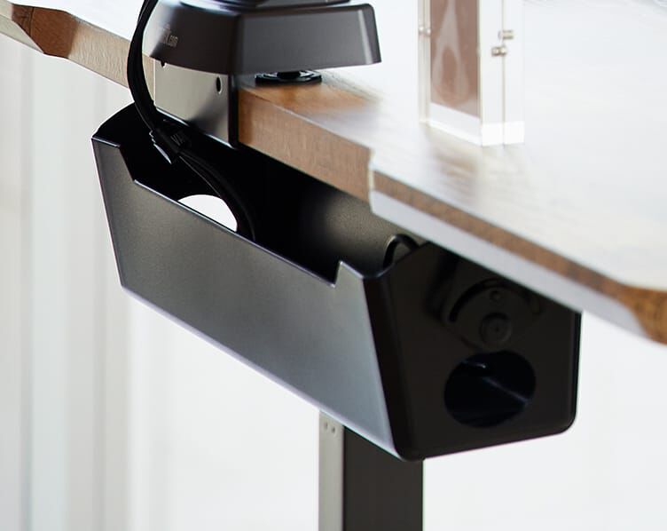 Back view of the Electric Standing Desk 60x30 highlights the cable management tray