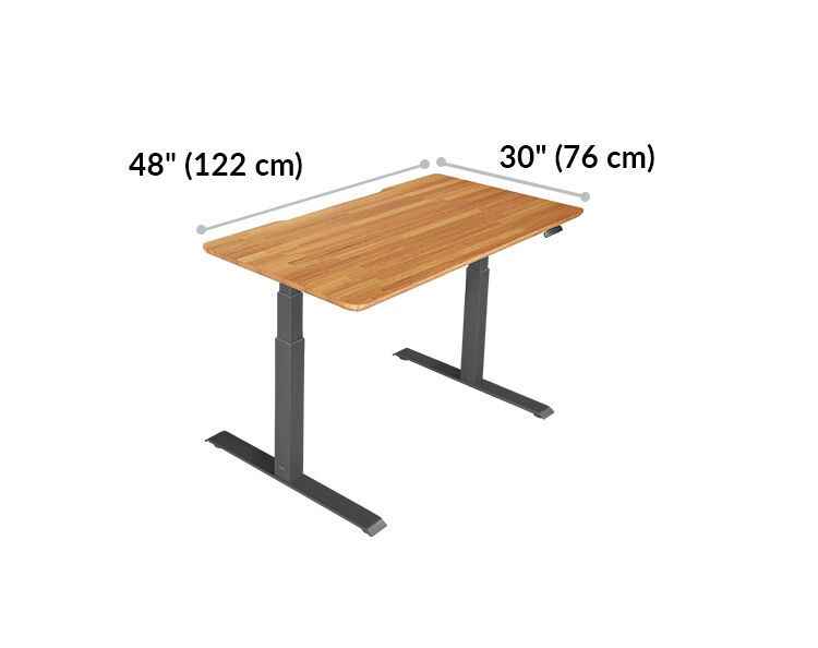Electric standing desk shop 48 x 30