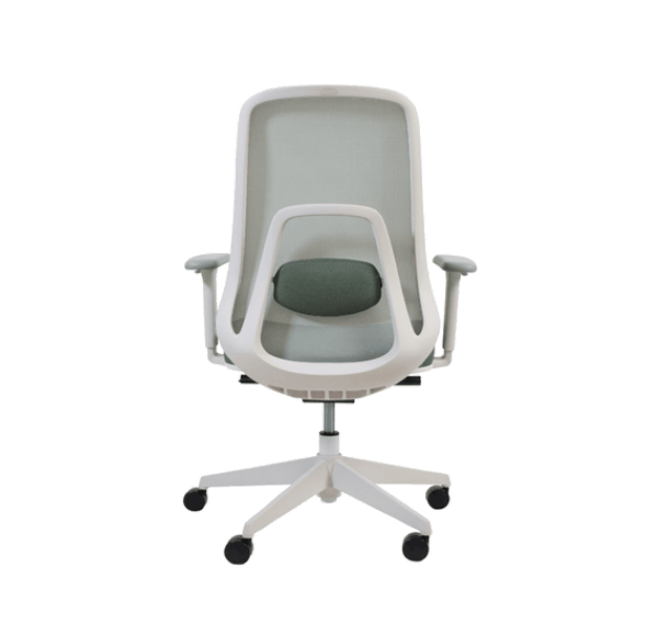 task chair for office settings