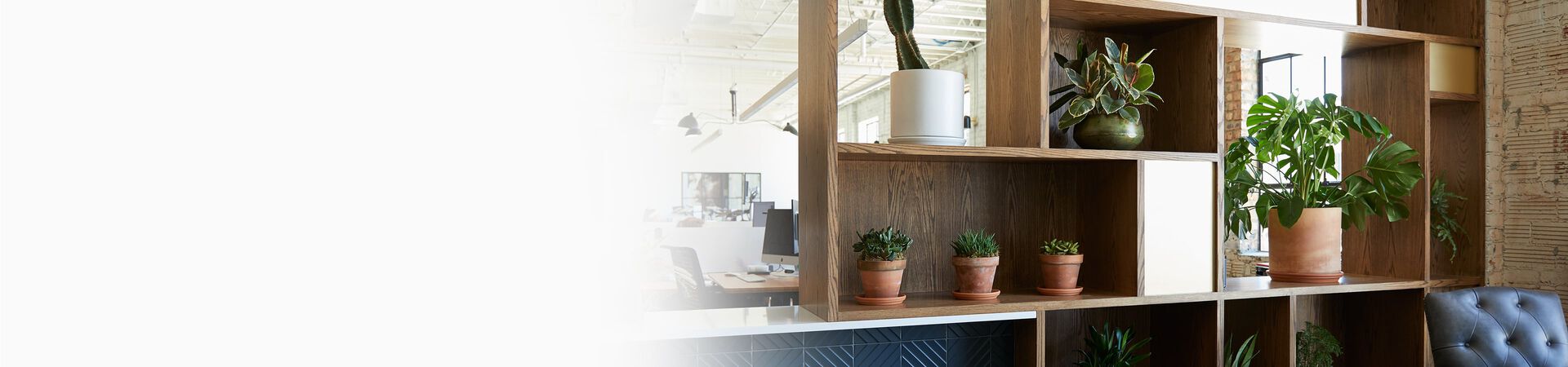 wooden shelving unit in office holding plants