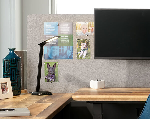 photos attached to the beam privacy panel in an individuals workspace