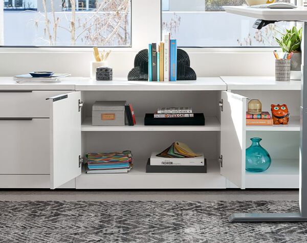 executive collection storage shown with books and decor inside