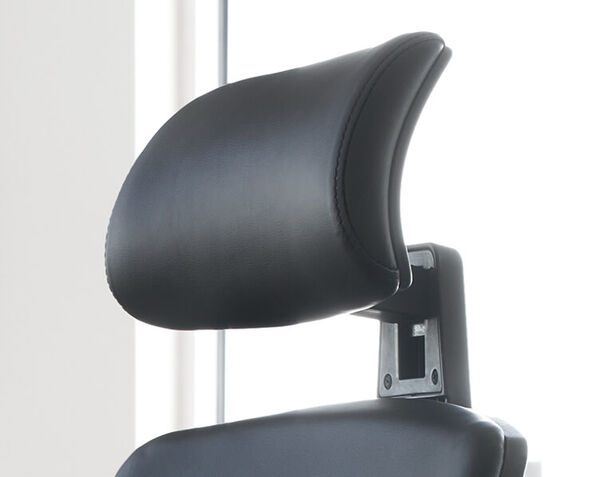 Vari Executive Task Chair headrest