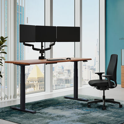 Solid Wood Electric Standing Desk 72x30