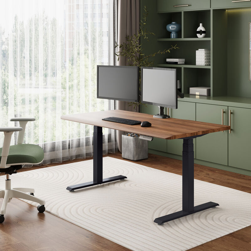 solid wood electric standing desk with a heritage walnut top with black legs in an open home office in lowered position image number null