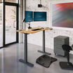 Ergo Electric Standing Desk 54x26