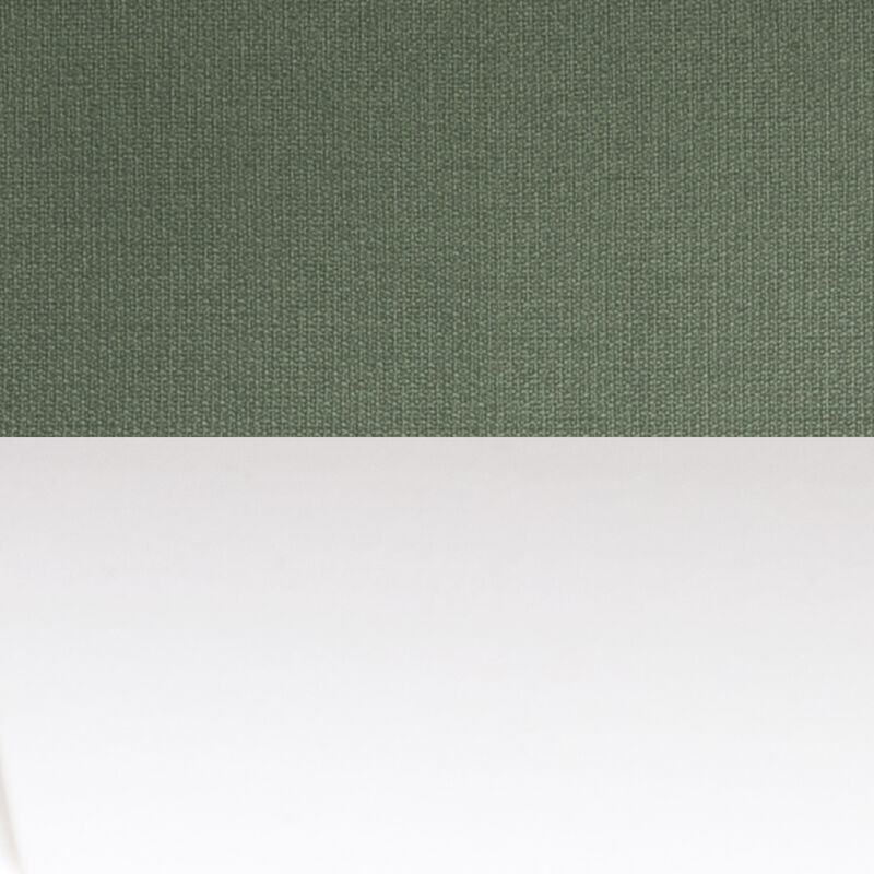 swatch of eucalyptus and cloud white frame image number null