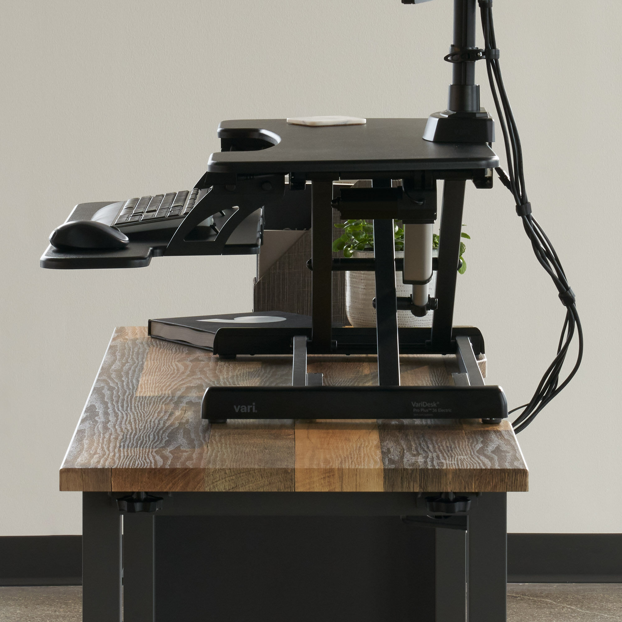 Varidesk pro plus 36 best sale electric