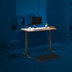vari electric standing desk 48 by 30 in butcher block with blue background to show accessories