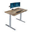 Electric Standing Desk 60x30 light wood in raised position
