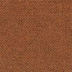 burnt orange color swatch