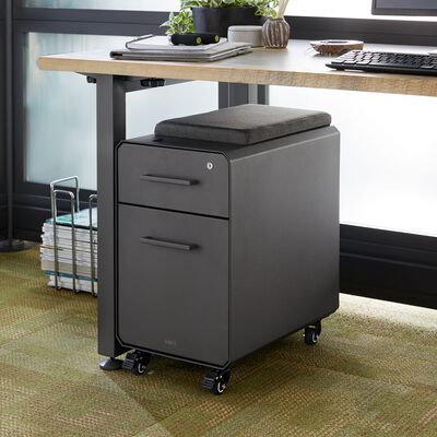 Slim Storage Seat Small Desk File Drawers And Seating Vari