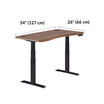 Ergo Electric Standing Desk 54x26