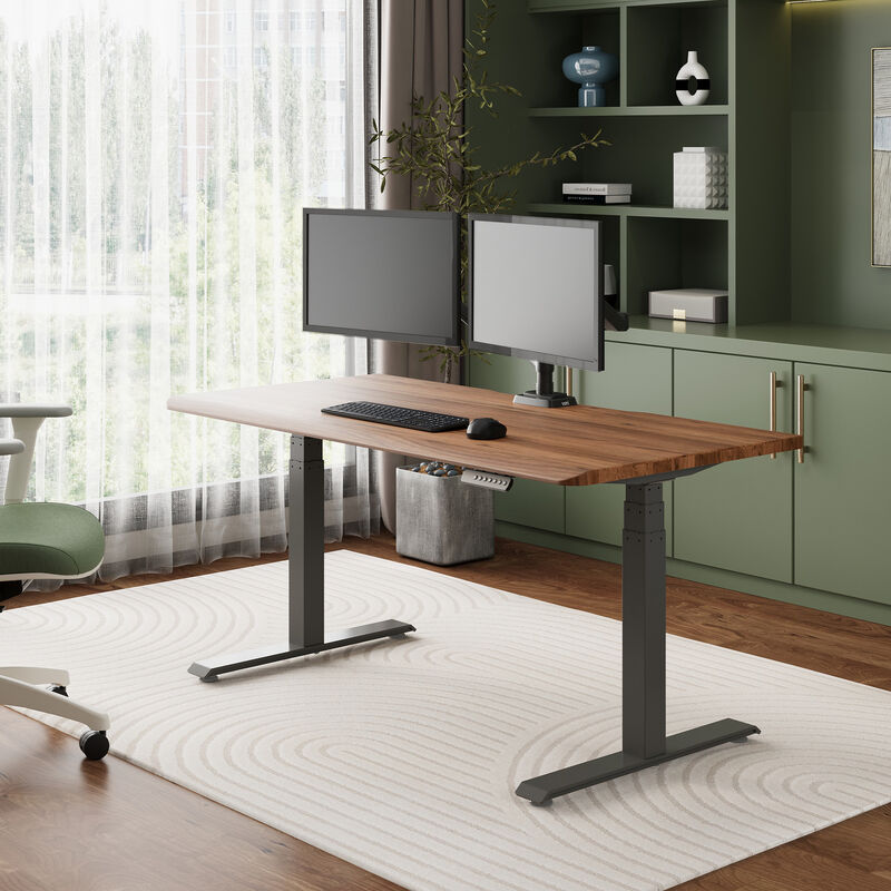 solid wood electric standing desk with a heritage walnut top with slate legs in an open home office in lowered position image number null