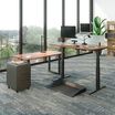 Electric Standing Desk and benching table in office with large windows