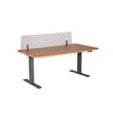 acrylic modesty panel 72 attached for privacy to Electric Standing Desk 72 by 30