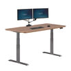Electric standing desk 72x30 on walnut background