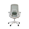 back shot of ascent chair in a white background