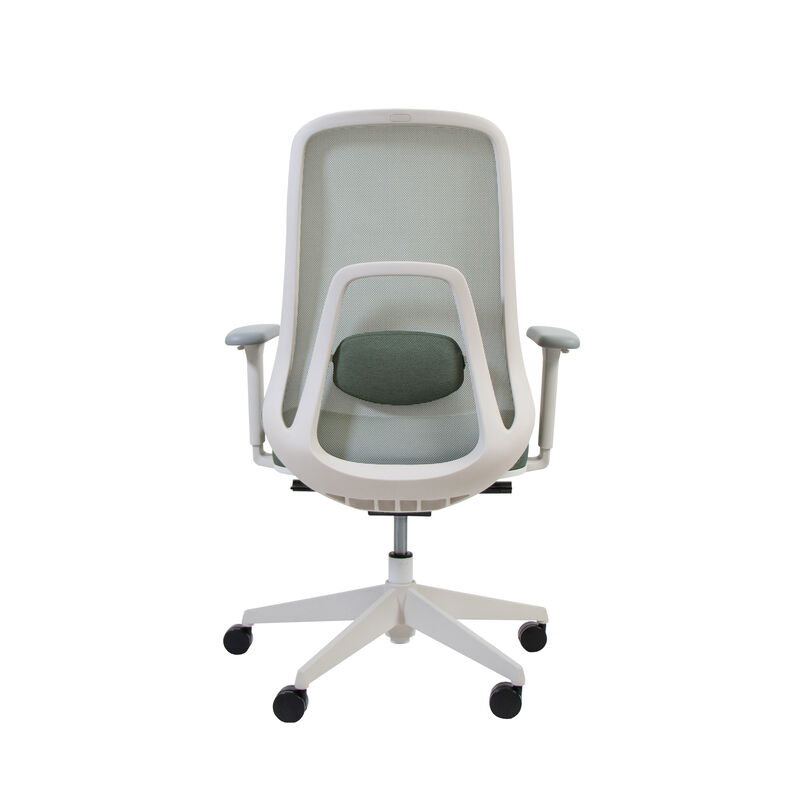 back shot of ascent chair in a white background image number null
