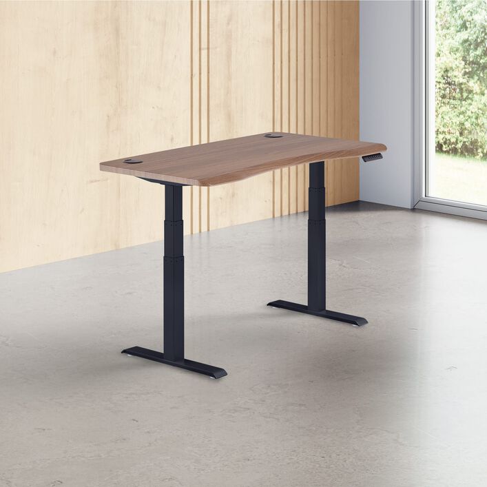 Ergo Electric Standing Desk 54x26 image number 0