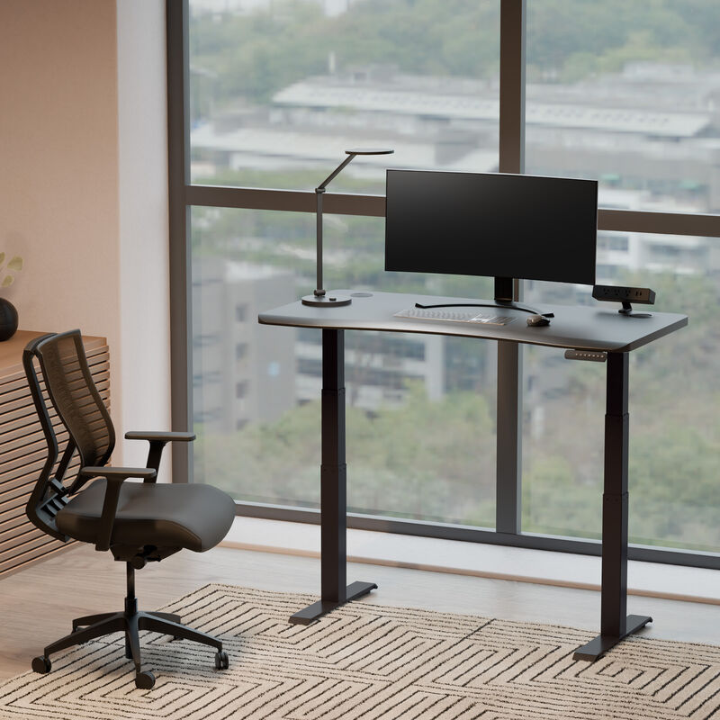 Ergo Electric Standing Desk 54x26 image number null