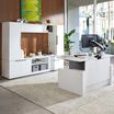 executive collection used to create modular storage in personal workspace