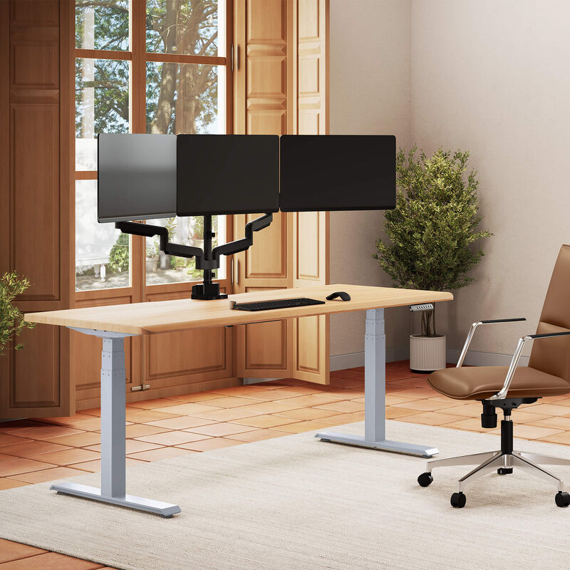 Solid Wood Electric Standing Desk 72x30 image number null