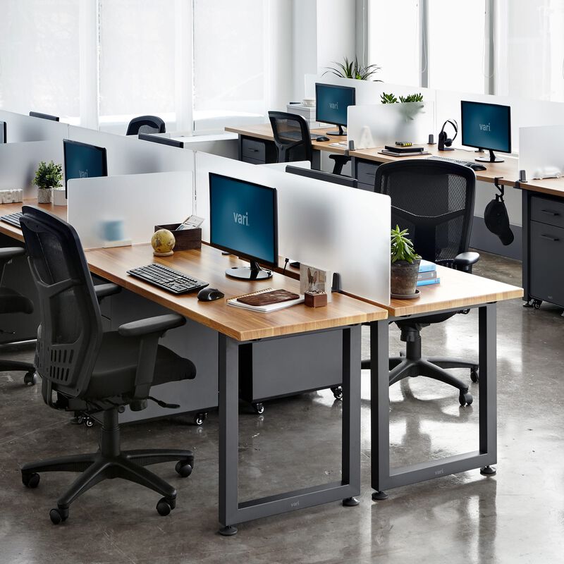 Acrylic Privacy Panel 48 in Frosted Acrylic in office image number null