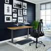 Sit-Stand Workspace set comes with Electric Standing Desk 60x30, Monitor Arm and Laptop Stand, Task Chair with Headrest, Power Hub and a Standing Mat 36x24.