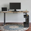 mobile cubby with standing desk in a home office