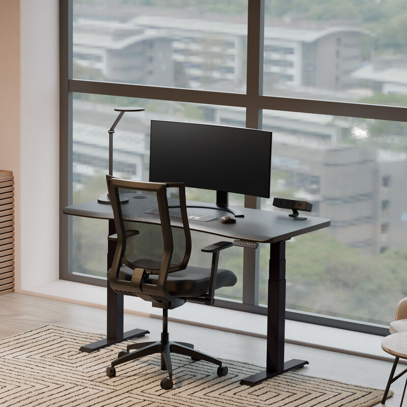 Ergo Electric Standing Desk 54x26 image number null