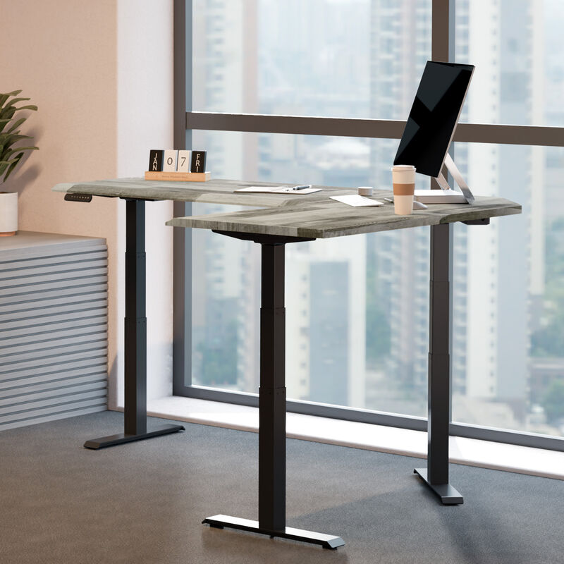 driftwood electric standing desktop with black legs in an office setting in a raised position image number null
