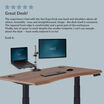 Ergo Electric Standing Desk 54x26