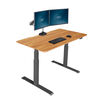 electric standing desk 48x30