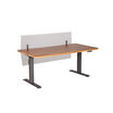 2 acrylic modesty panel 72 attached for privacy and modesty to Electric Standing Desk 72 by 30