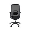 Ascent Chair