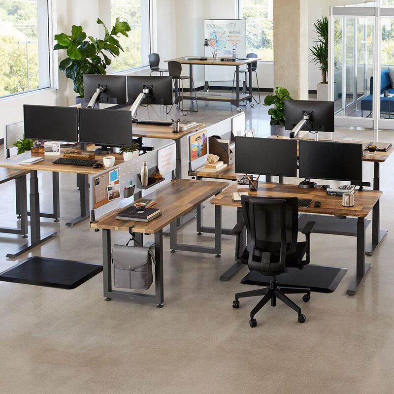 Office setting with multiple electric standing desks. image number null