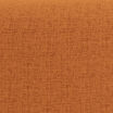 burnt orange swatch