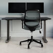 Rear three-quarter view of the sage grey mesh office chair showing the black back panel and five-star base with casters, positioned beside a sit-stand desk with dual monitors.
