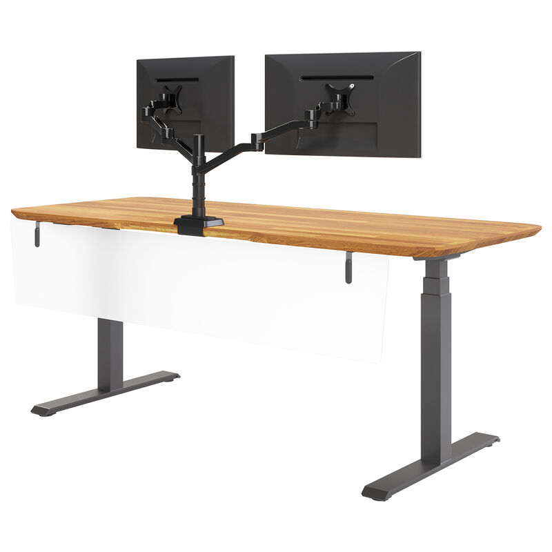 acrylic modesty panel 72 attached for modesty to Electric Standing Desk 72 by 30 image number null