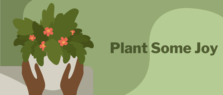 person placing flower arrangement representing plant some joy 