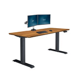 Electric Standing Desk 60x24 Butcher Block