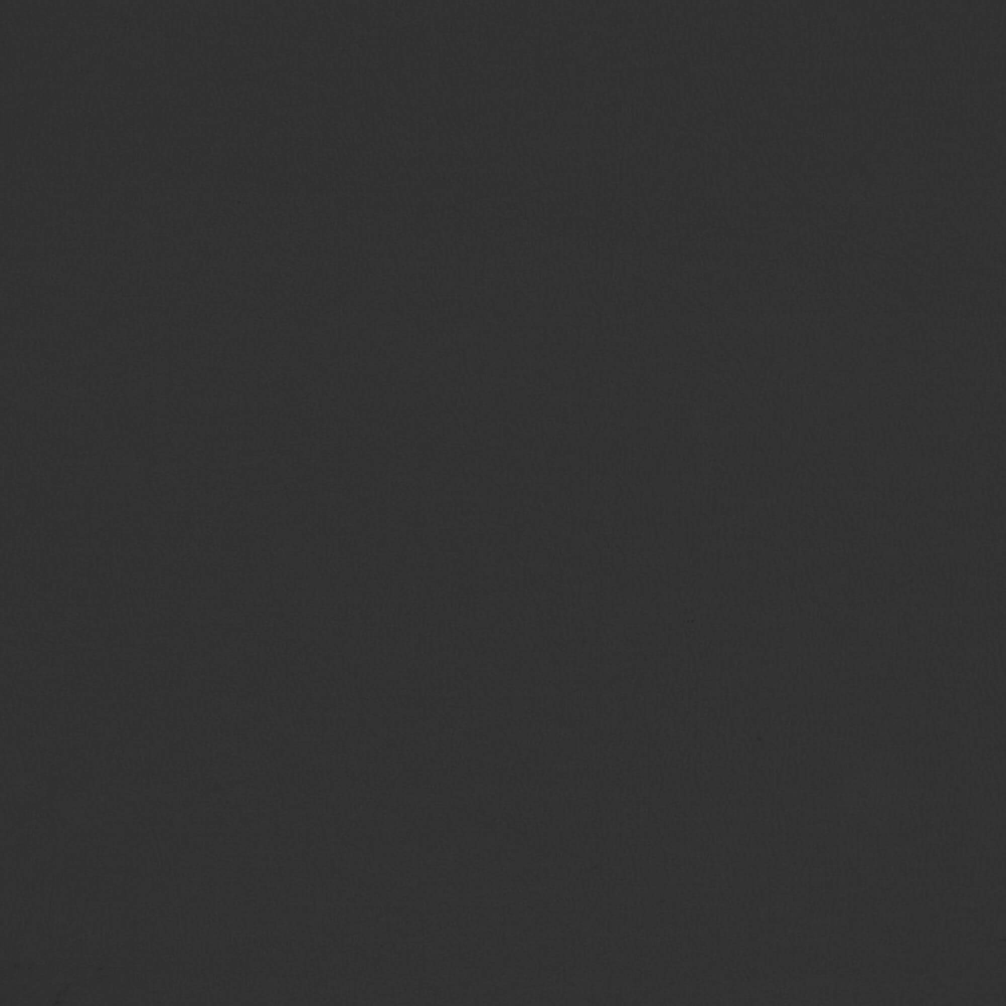 black color swatch